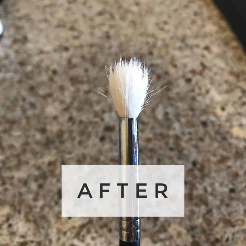 After Cleaning Your Brush